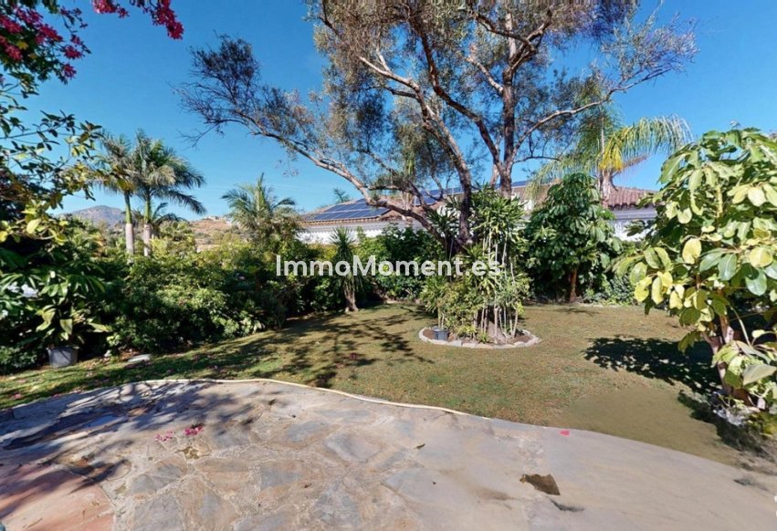 Revente - Villa individuelle - Marbella - San Pedro de Alcántara