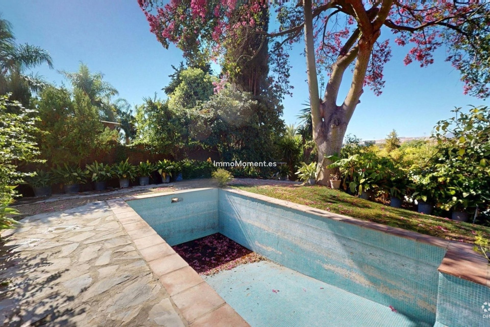 Revente - Villa individuelle - Marbella - San Pedro de Alcántara