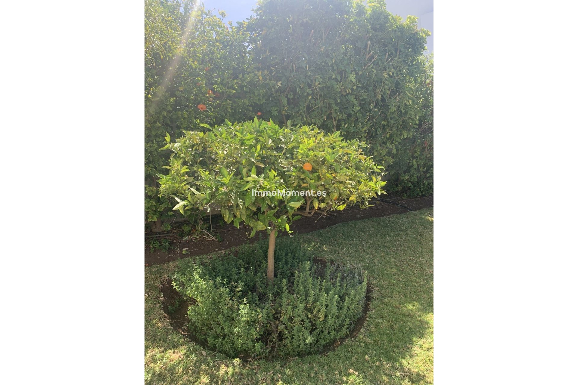 Revente - Villa individuelle - Marbella - San Pedro de Alcántara