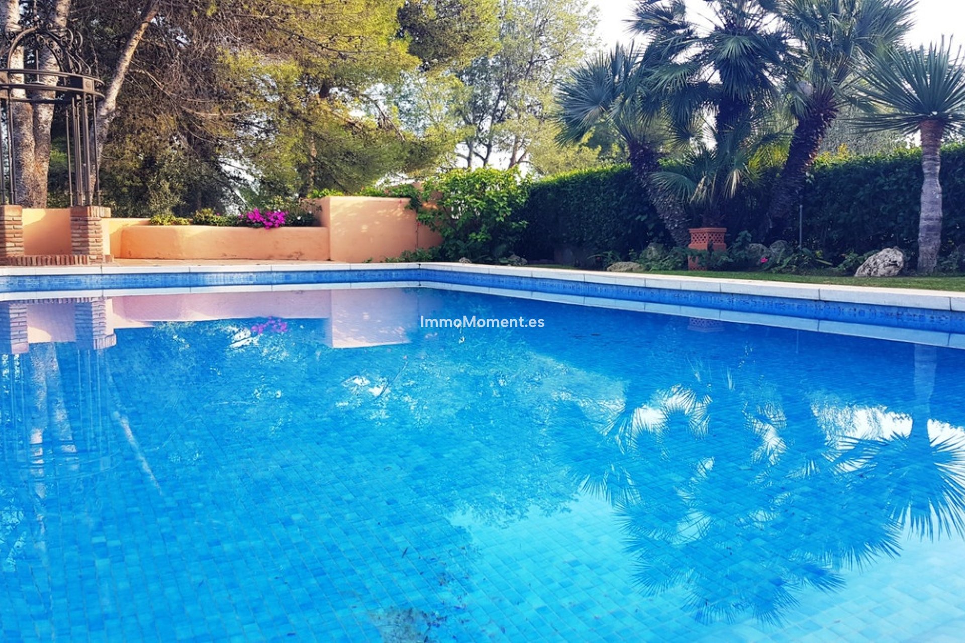 Revente - Villa individuelle - Marbella - Sierra Blanca