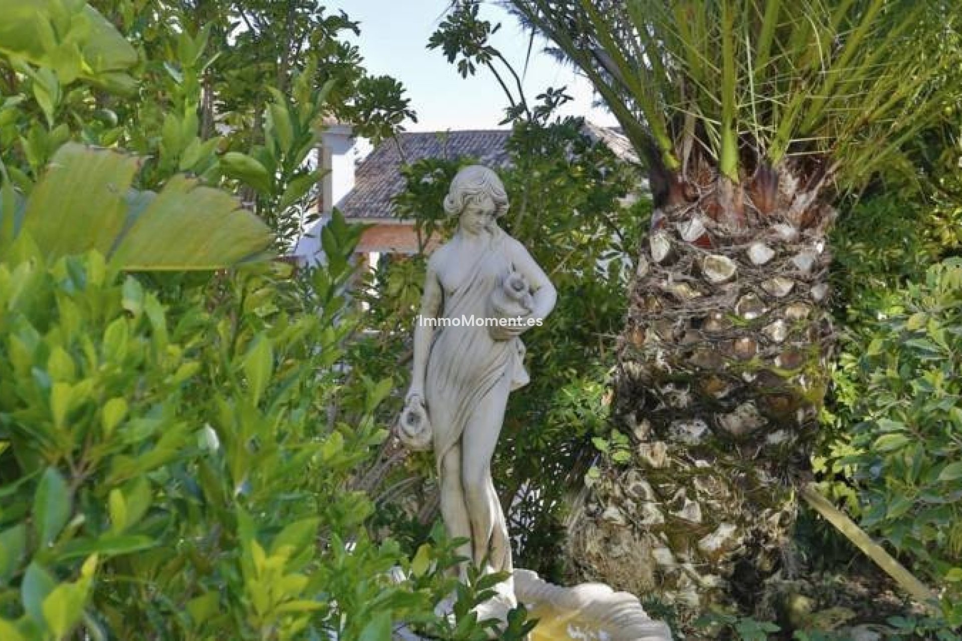 Revente - Villa individuelle - Marbella - Sierra Blanca