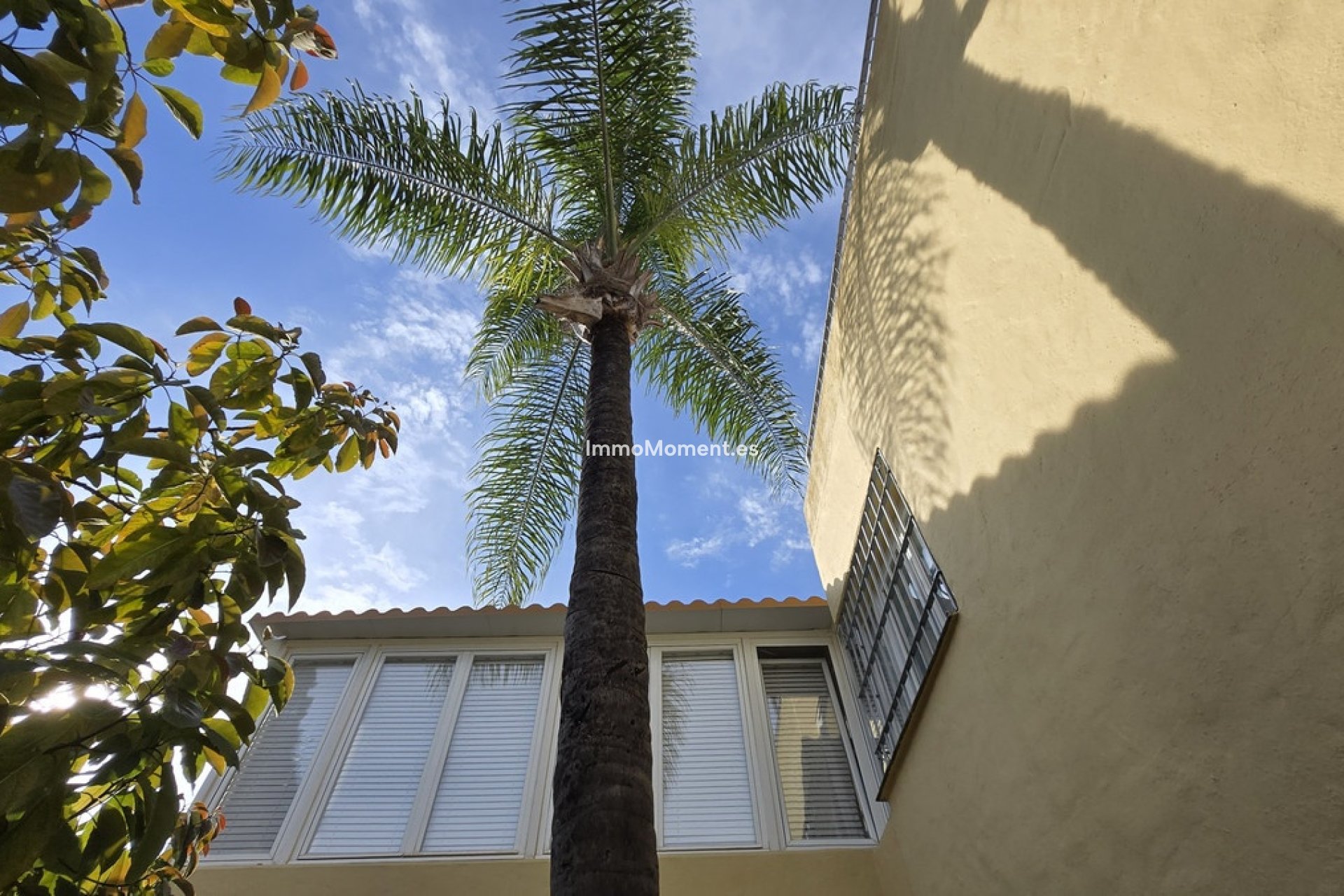 Revente - Villa individuelle - Marbella - The Golden Mile