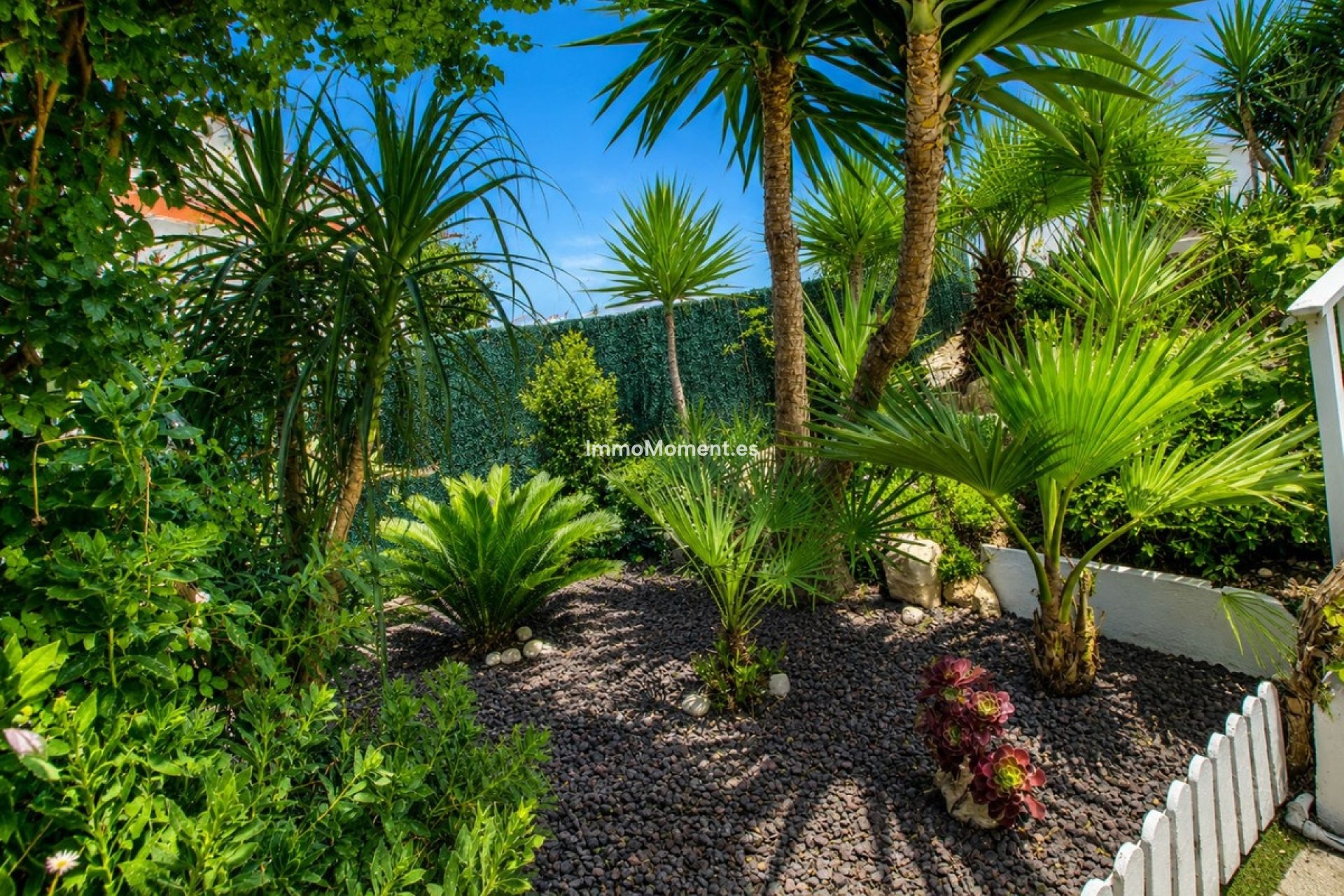 Revente - Villa individuelle - Mijas - El Faro