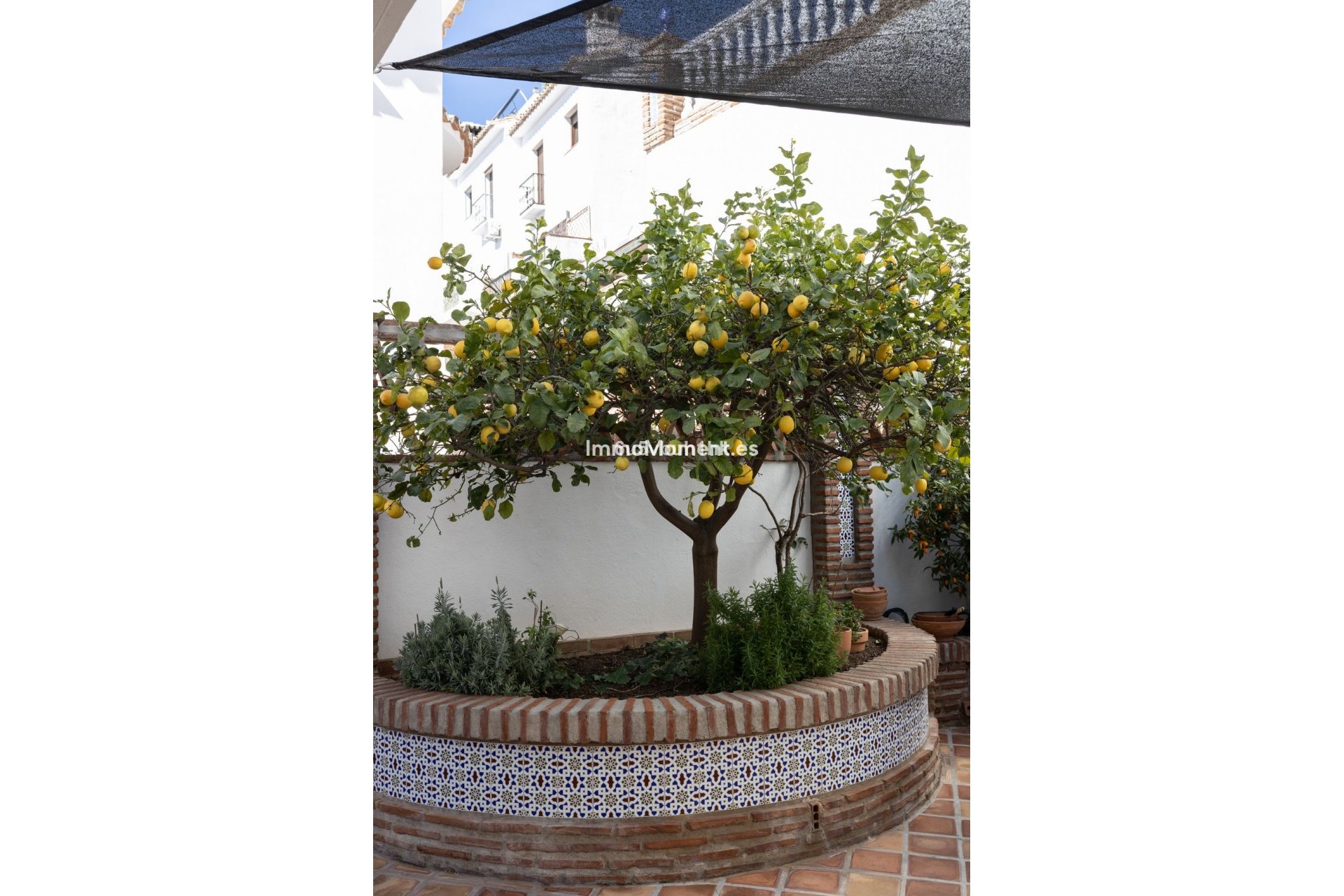 Revente - Villa individuelle - Mijas - Mijas Centro