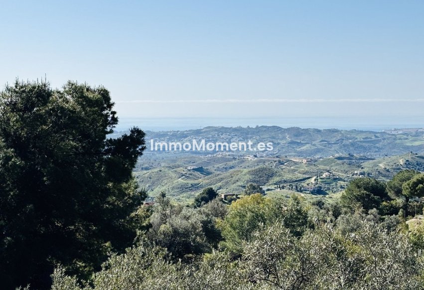 Revente - Villa individuelle - Mijas - Valtocado