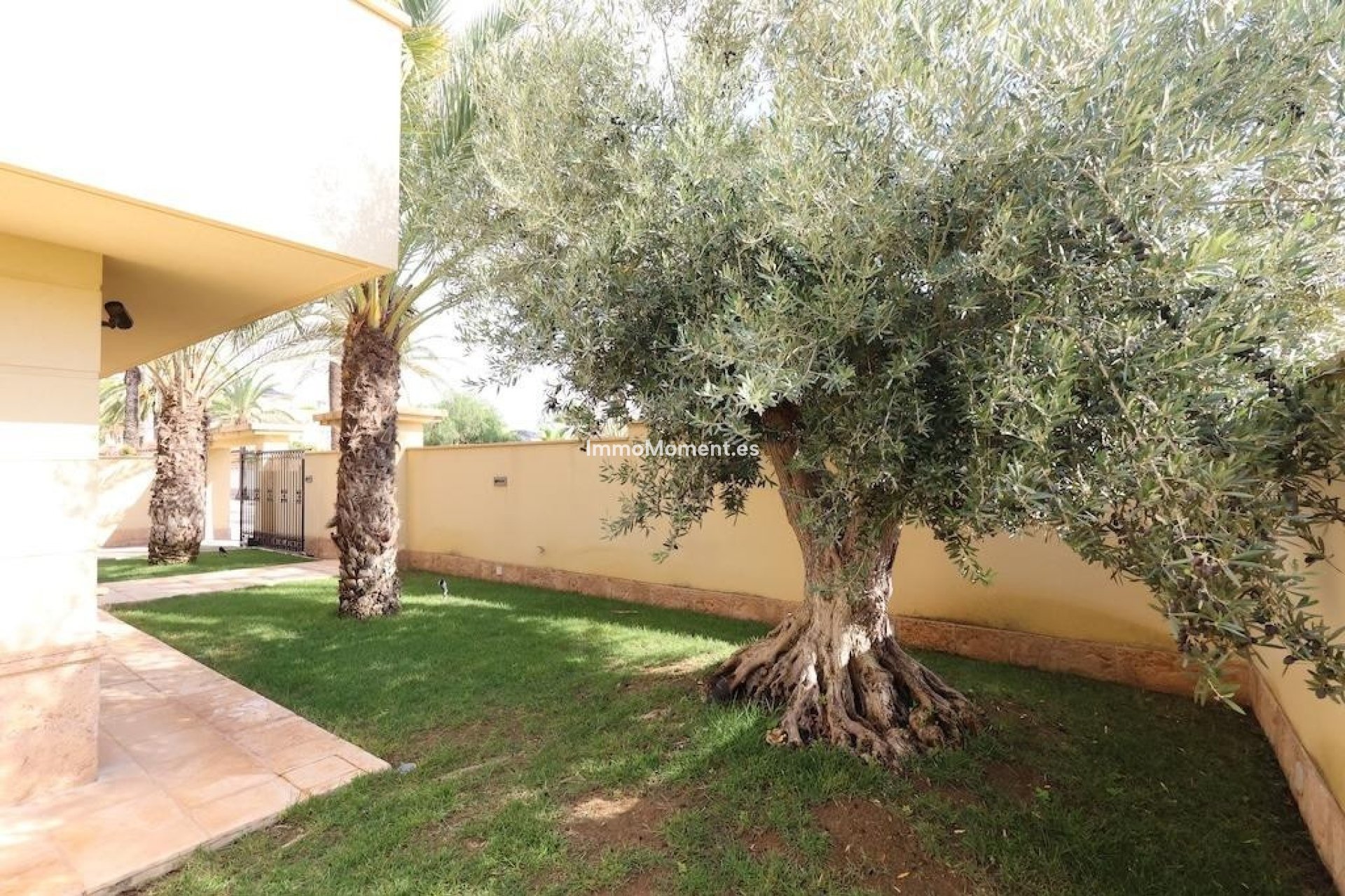 Revente - Villa individuelle - Orihuela - Cabo Roig