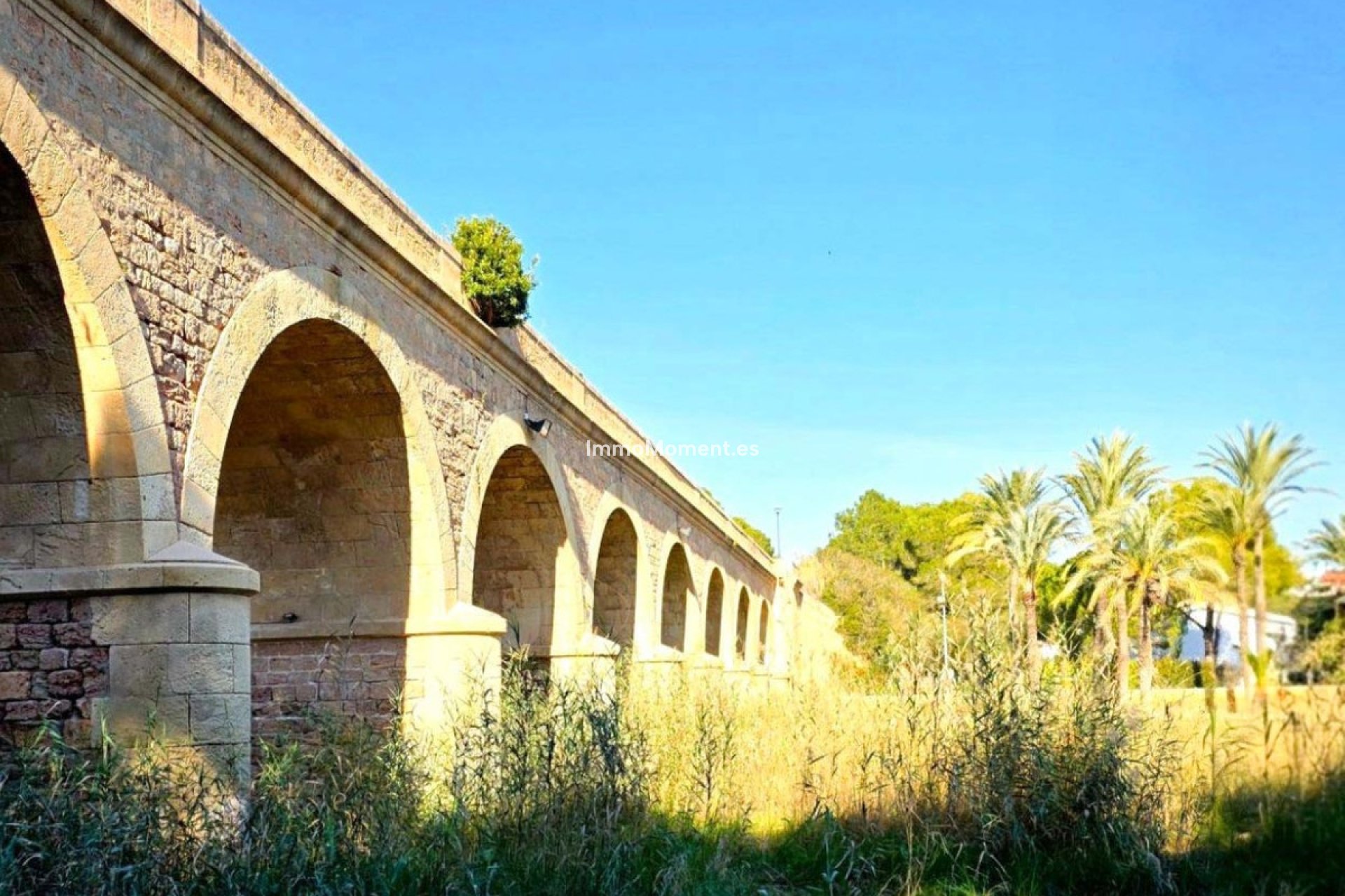 Revente - Villa individuelle - Orihuela - Campoamor