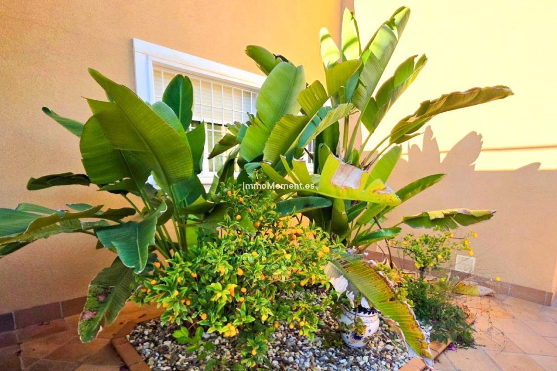 Revente - Villa individuelle - Orihuela - Campoamor