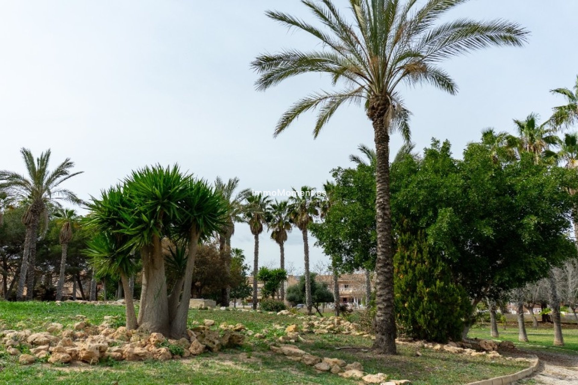 Revente - Villa individuelle - Orihuela - Los Altos