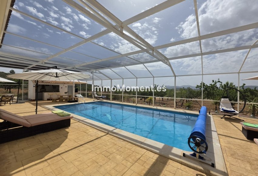 Revente - Villa individuelle - Pinoso - Lel