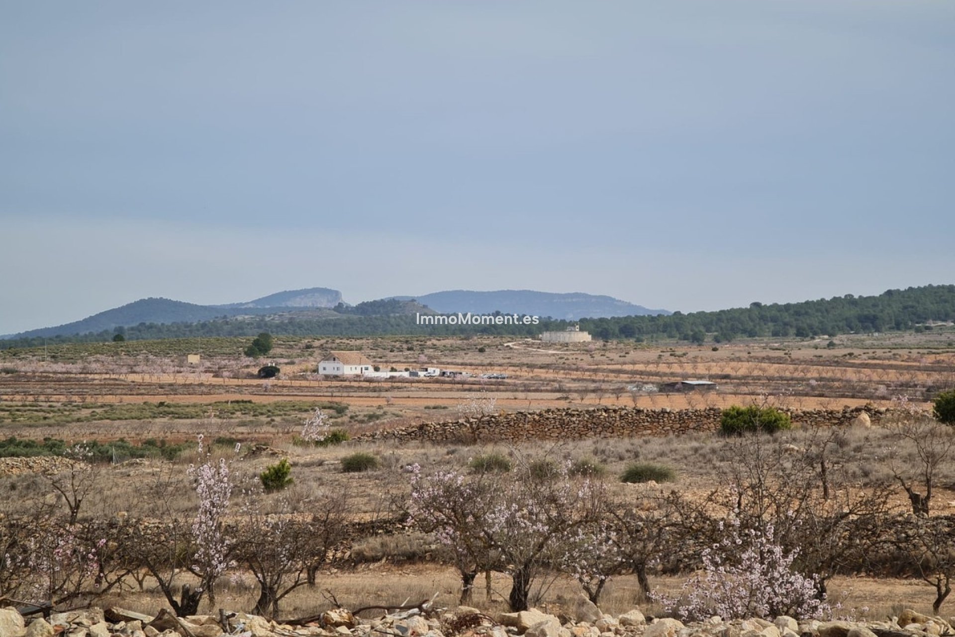 Revente - Villa individuelle - Pinoso - Pinoso Centro