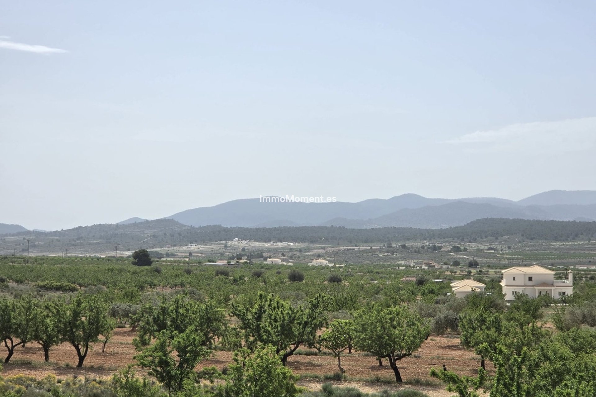 Revente - Villa individuelle - Pinoso - Pinoso Centro