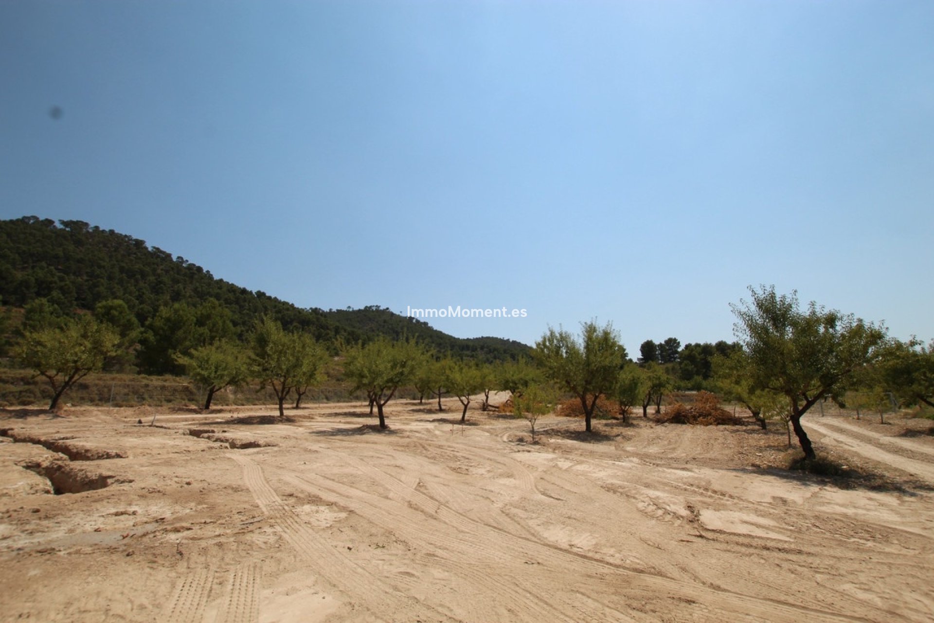 Revente - Villa individuelle - Pinoso - Pinoso Centro
