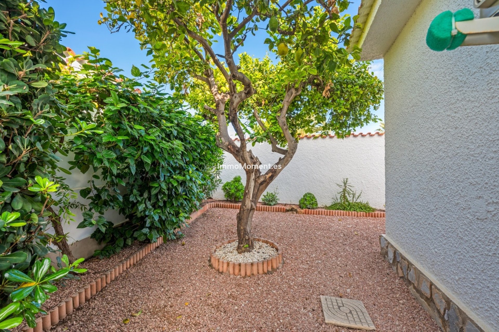 Revente - Villa individuelle - Rojales - Rojales Centro