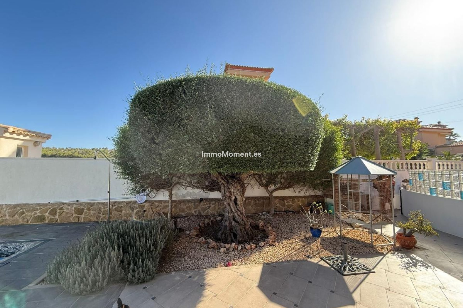 Revente - Villa individuelle - San Miguel de Salinas - San Miguel de Salinas Centro
