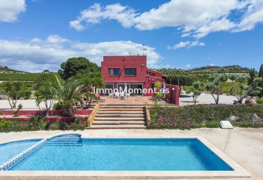 Revente - Villa individuelle - San Miguel de Salinas - San Miguel de Salinas Centro