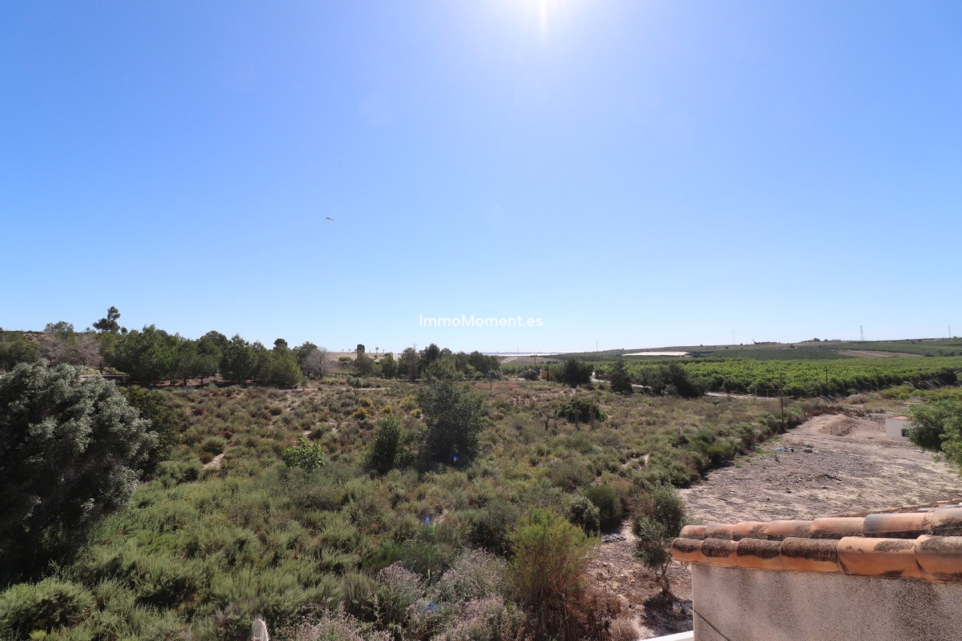 Revente - Villa individuelle - San Miguel de Salinas - San Miguel de Salinas Centro