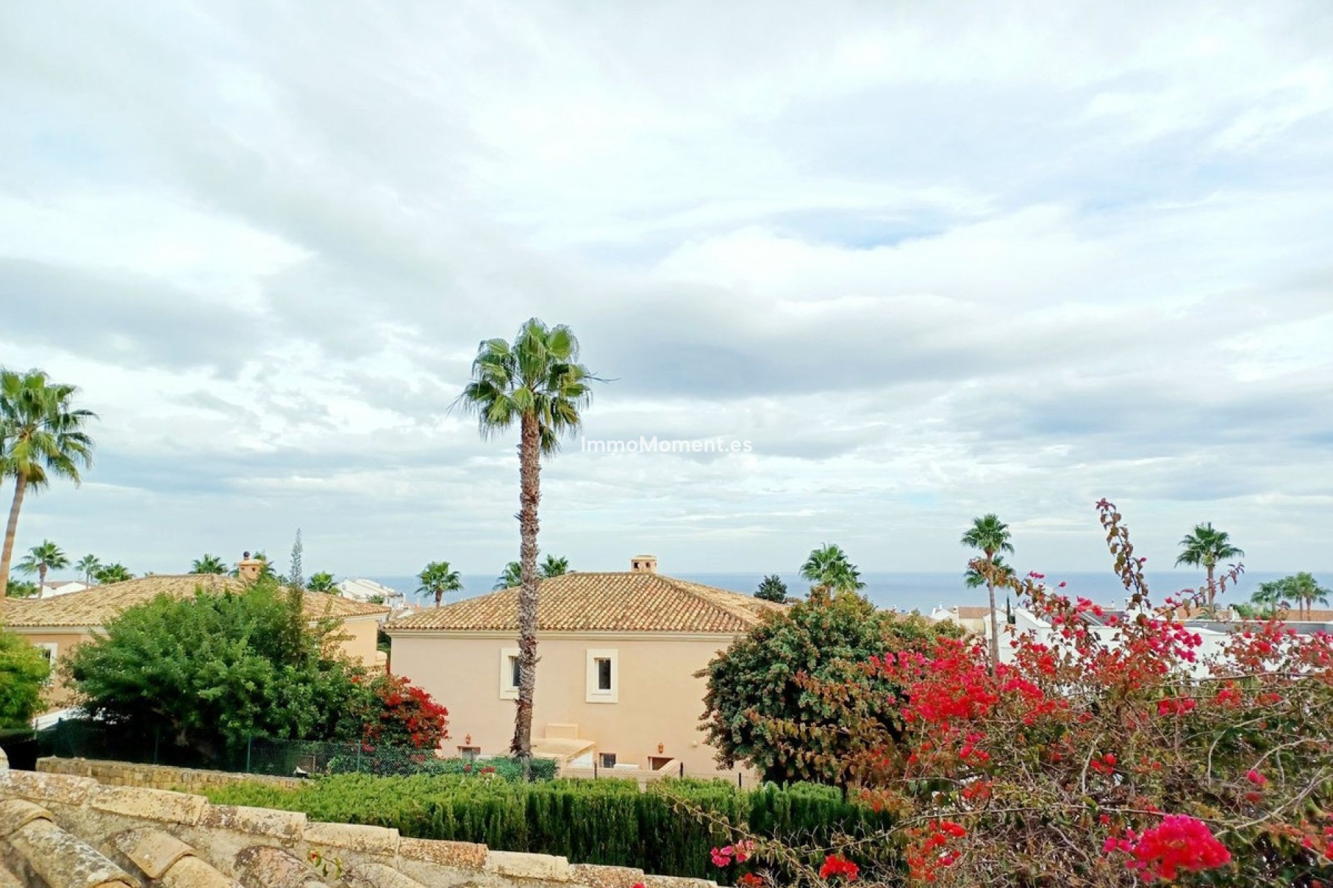 Revente - Villa individuelle - Sotogrande - La Alcaidesa