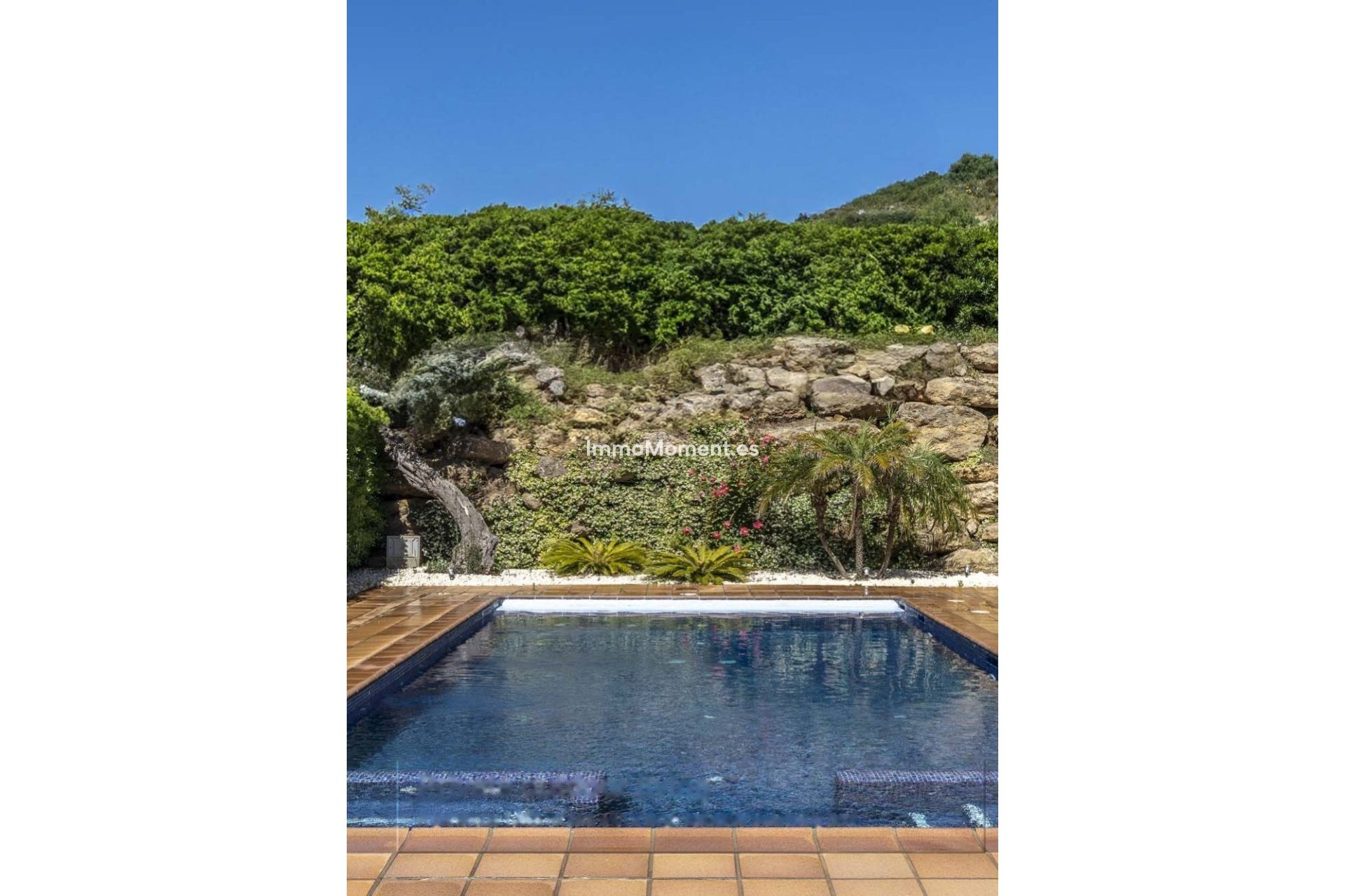 Revente - Villa individuelle - Sotogrande - La Alcaidesa