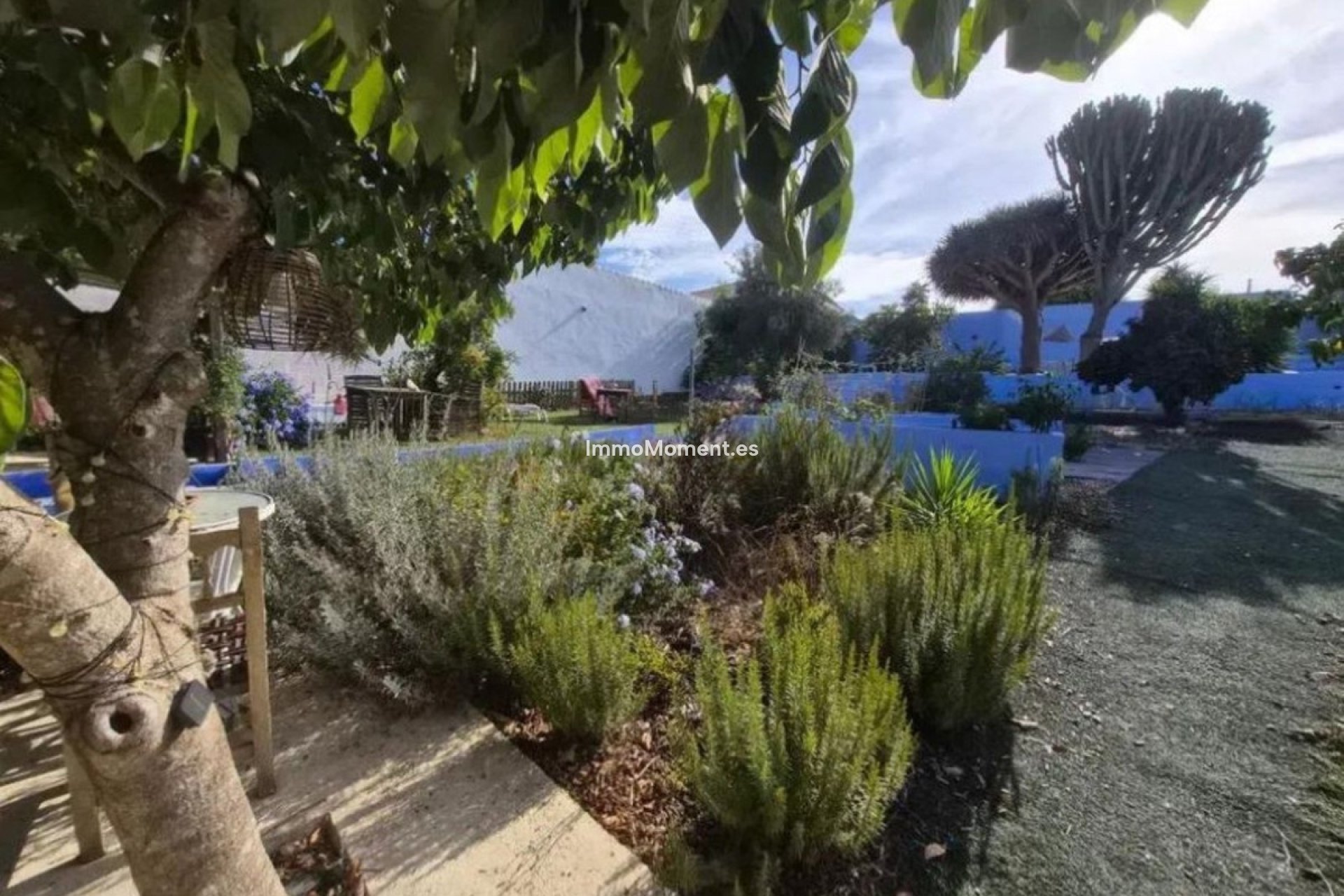 Revente - Villa individuelle - Sotogrande - San Roque