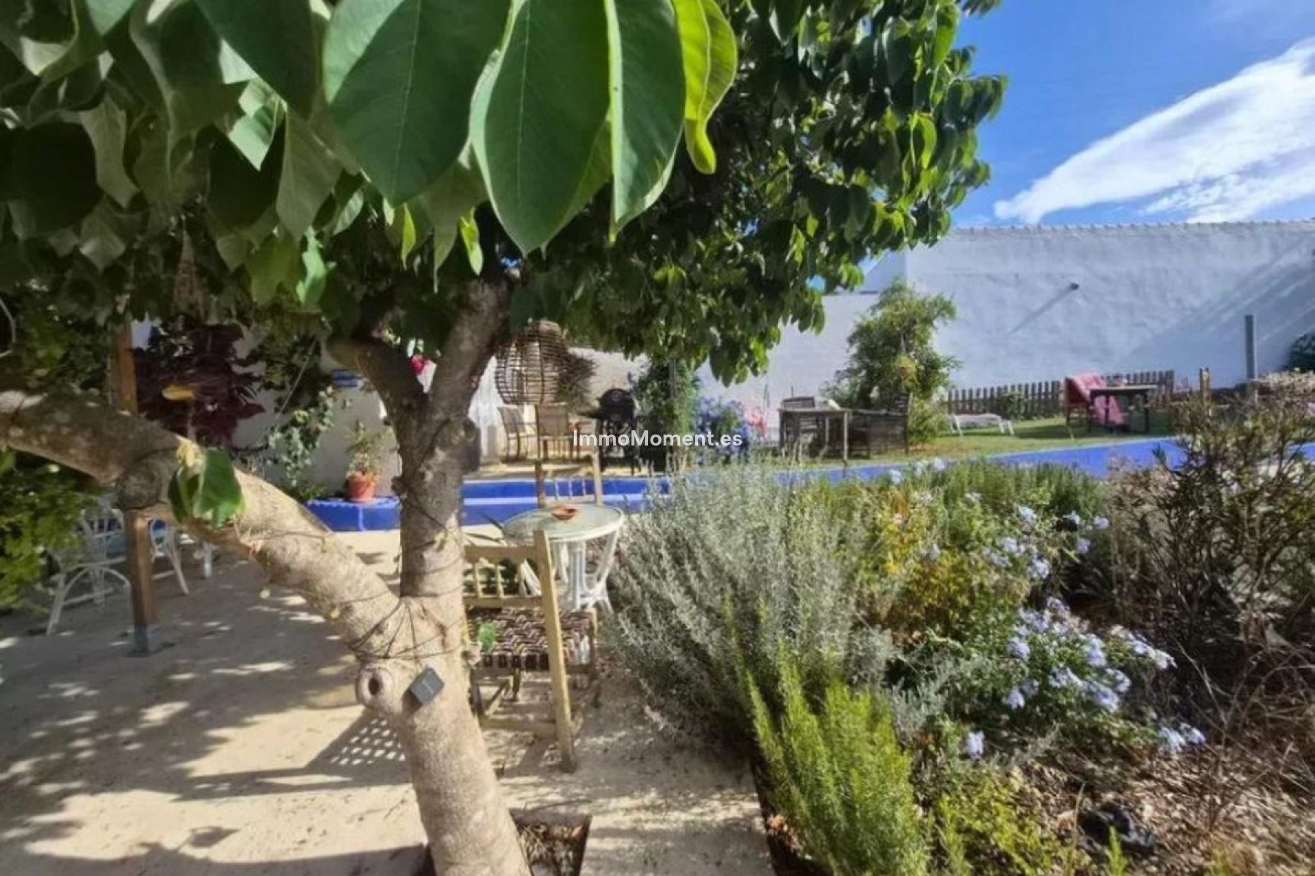 Revente - Villa individuelle - Sotogrande - San Roque