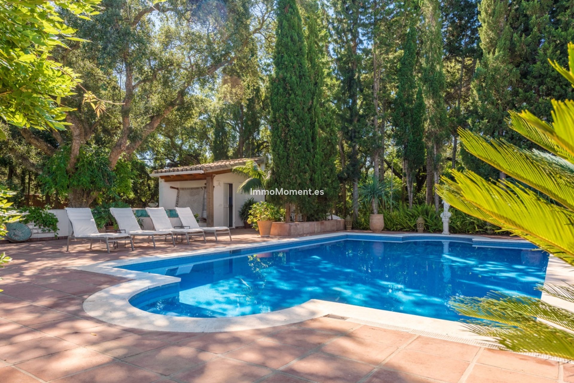 Revente - Villa individuelle - Sotogrande - Sotogrande Alto