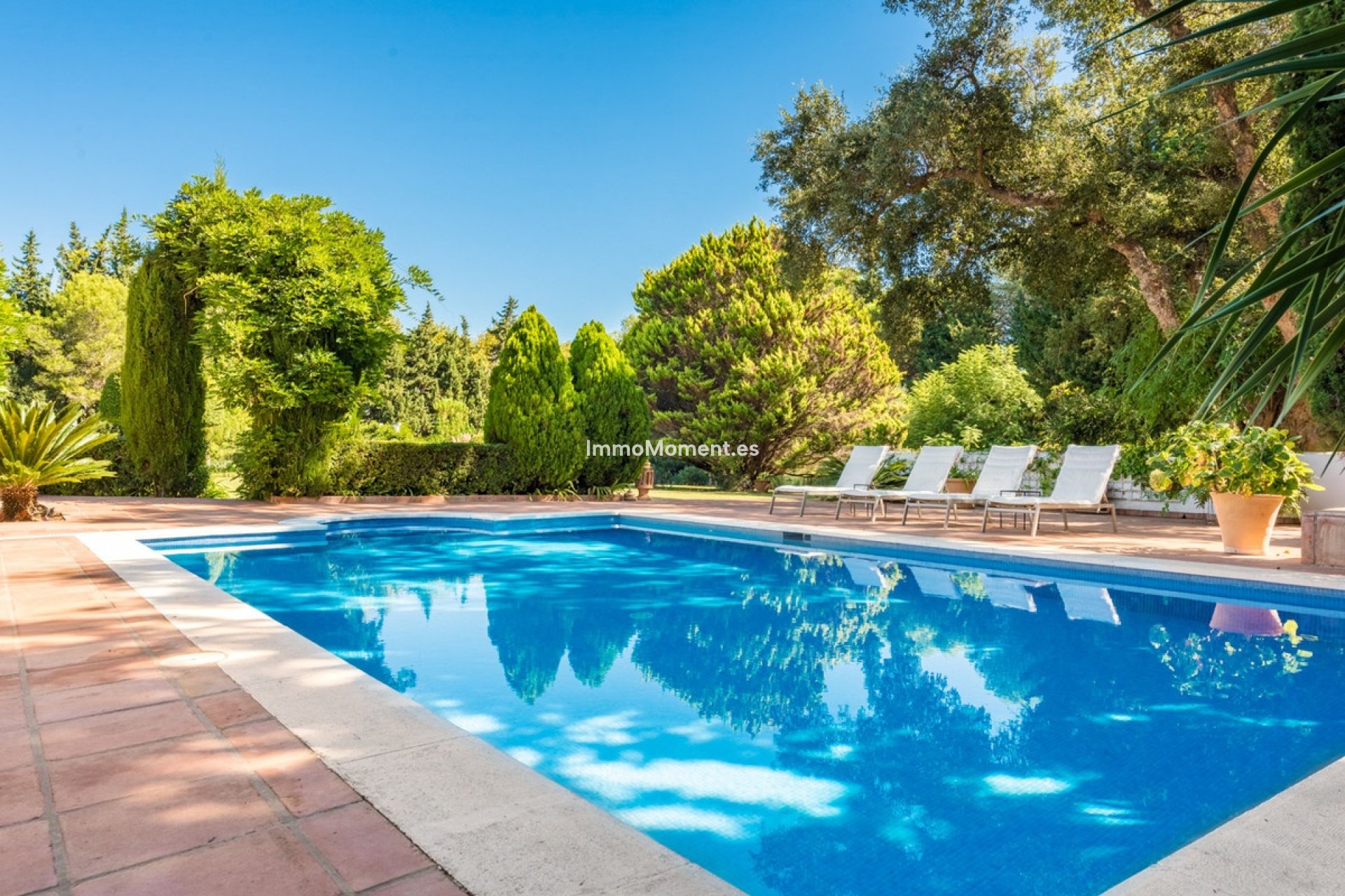 Revente - Villa individuelle - Sotogrande - Sotogrande Alto