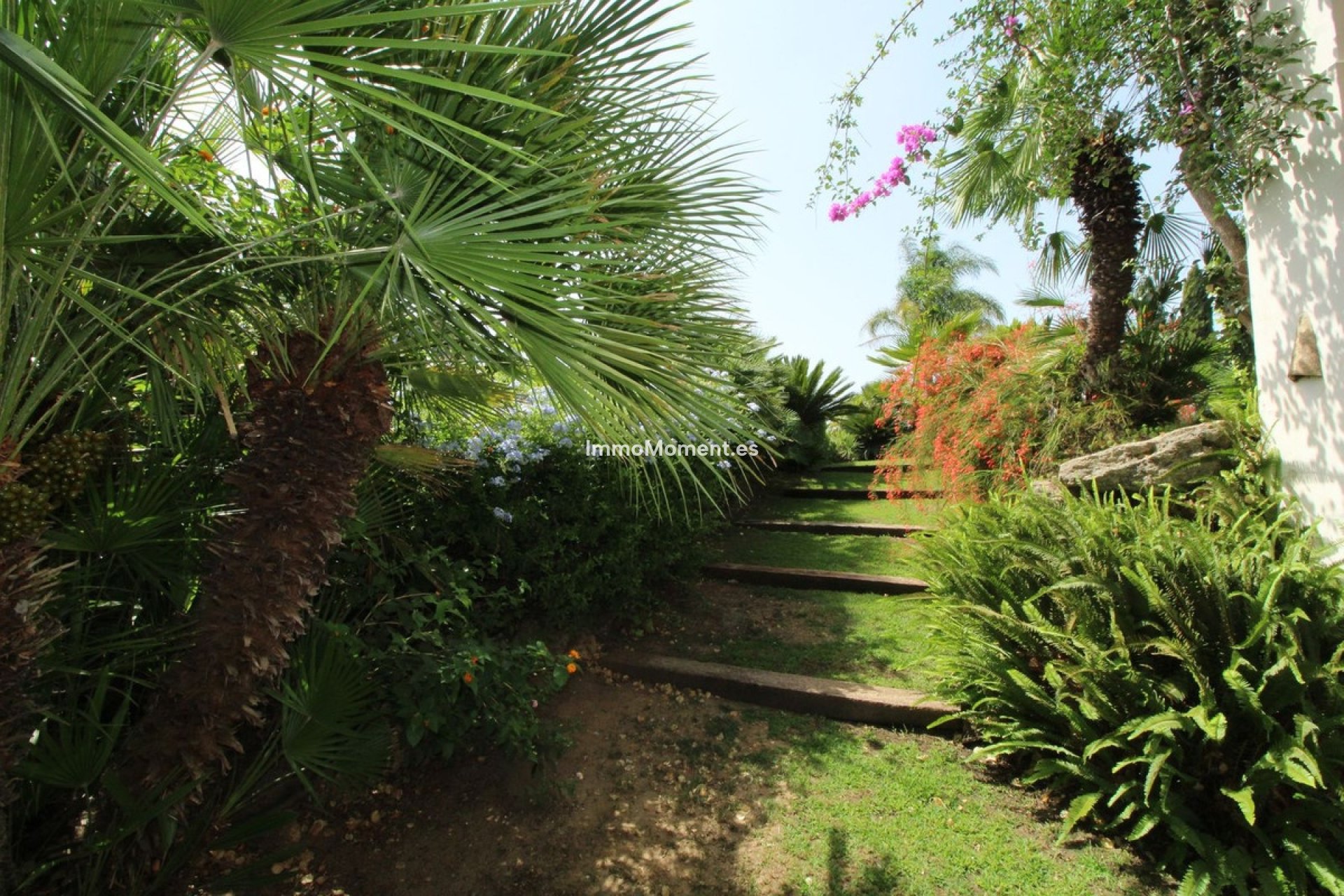 Revente - Villa individuelle - Sotogrande - Sotogrande Alto