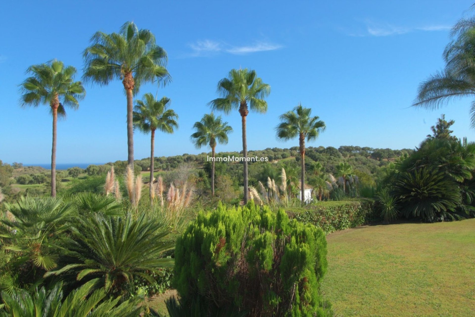 Revente - Villa individuelle - Sotogrande - Sotogrande Alto
