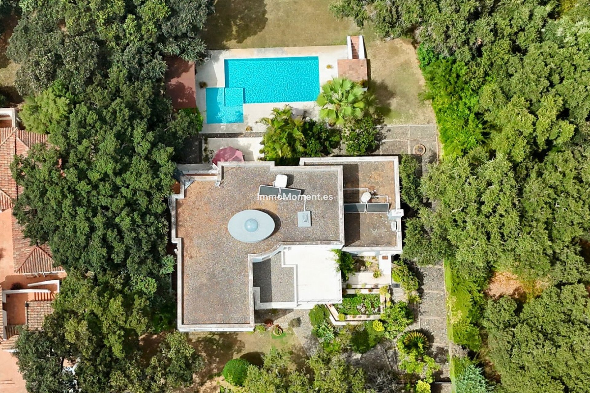 Revente - Villa individuelle - Sotogrande - Sotogrande Alto