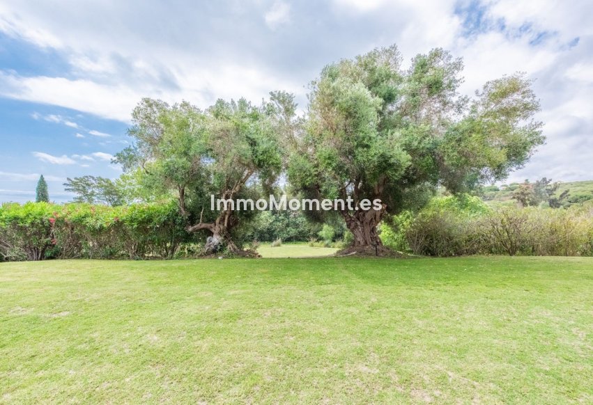 Revente - Villa individuelle - Sotogrande - Sotogrande Alto