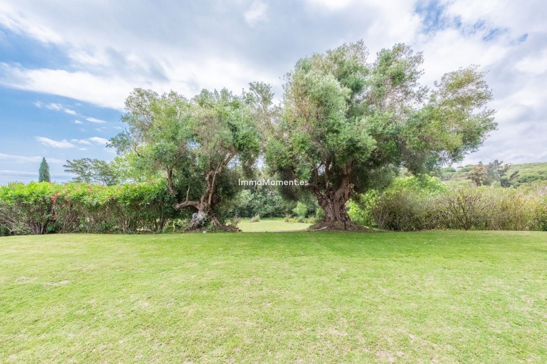 Revente - Villa individuelle - Sotogrande - Sotogrande Alto