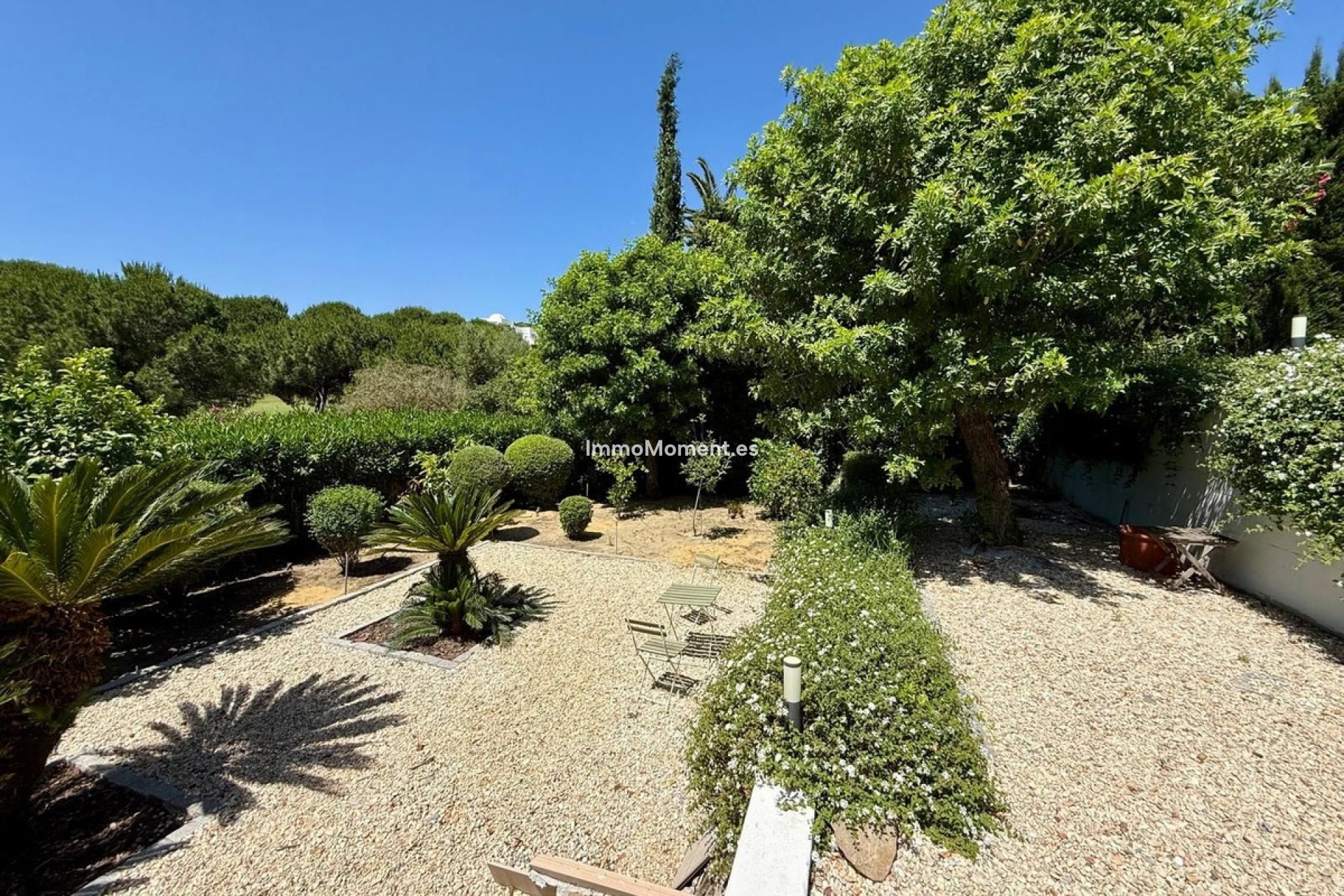 Revente - Villa individuelle - Sotogrande - Sotogrande Alto