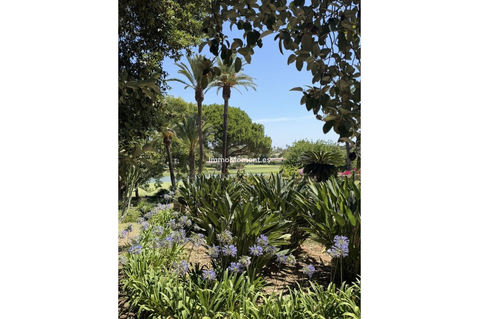 Revente - Villa individuelle - Sotogrande - Sotogrande Costa