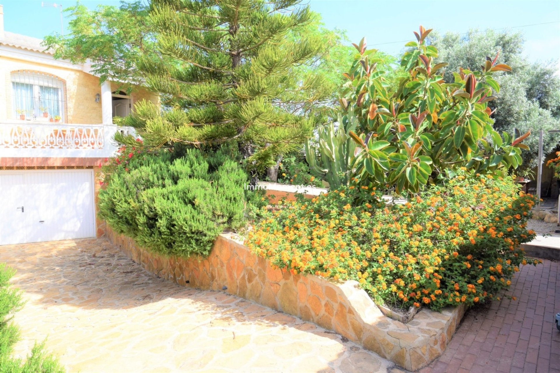 Revente - Villa individuelle - Torrevieja - Aguas Nuevas