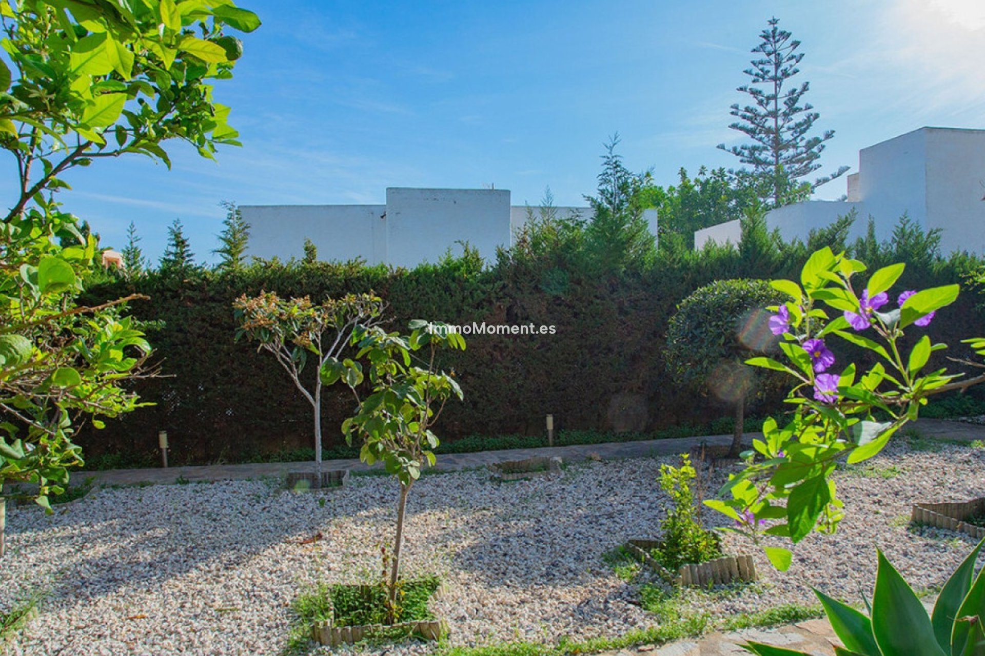 Revente - Villa individuelle - Torrevieja - Torre la mata