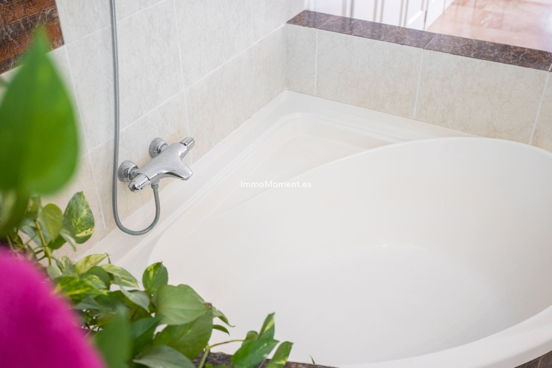 Revente - Villa individuelle - Torrevieja - Torrevieja Centro
