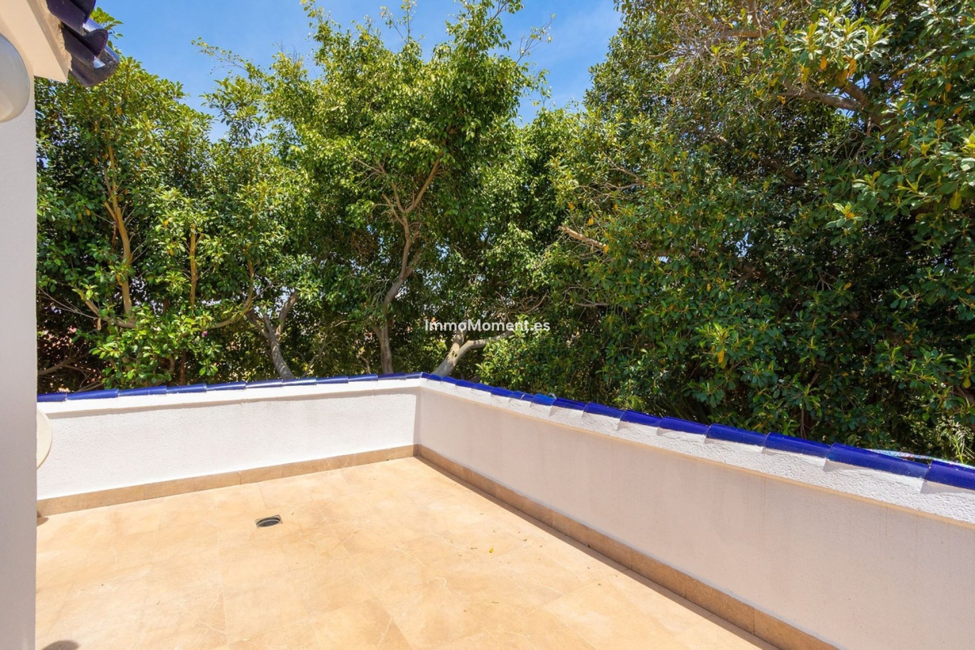 Revente - Villa individuelle - Torrevieja - Torrevieja Centro
