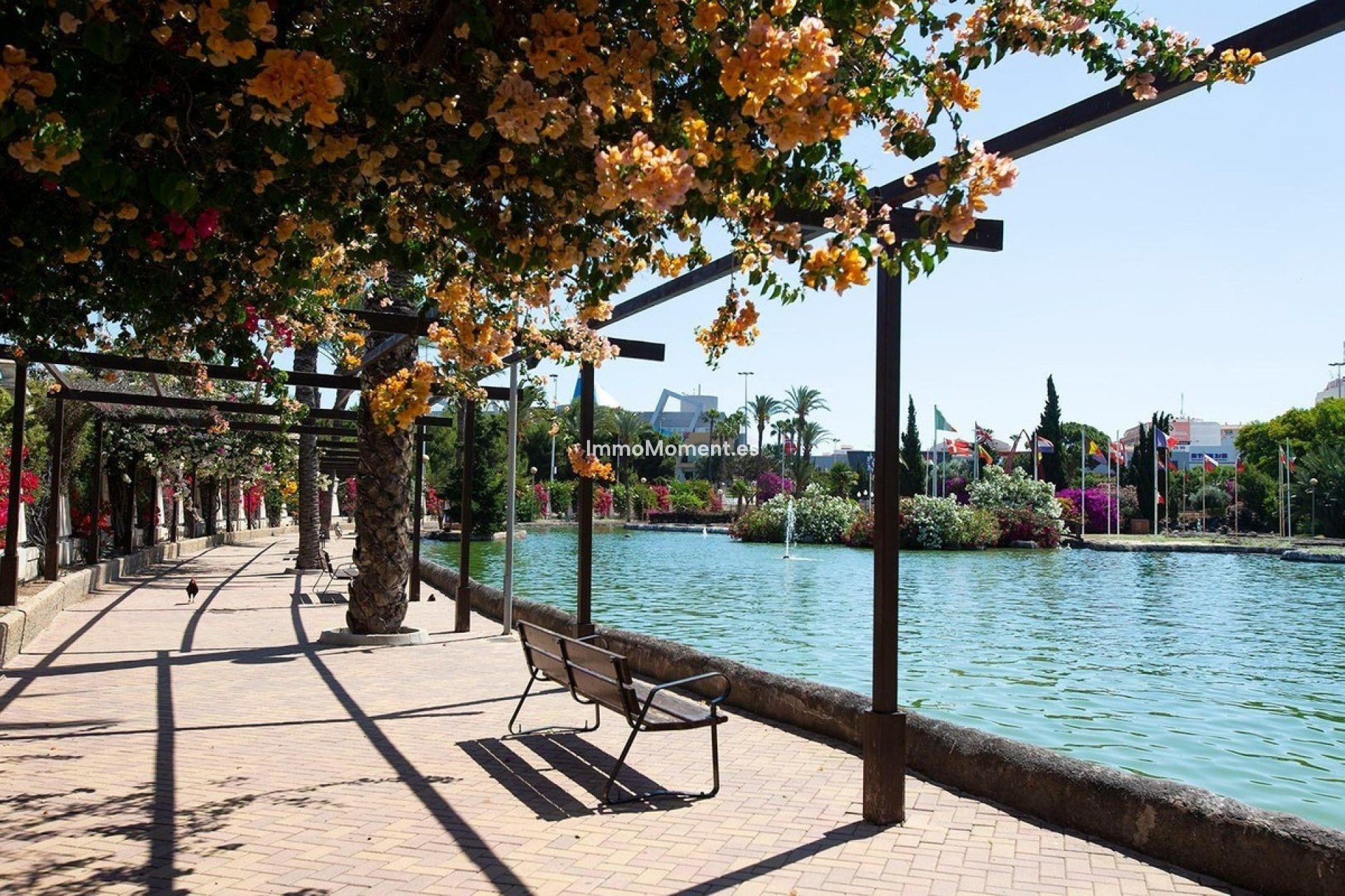 Revente - Villa individuelle - Torrevieja - Torrevieja Centro
