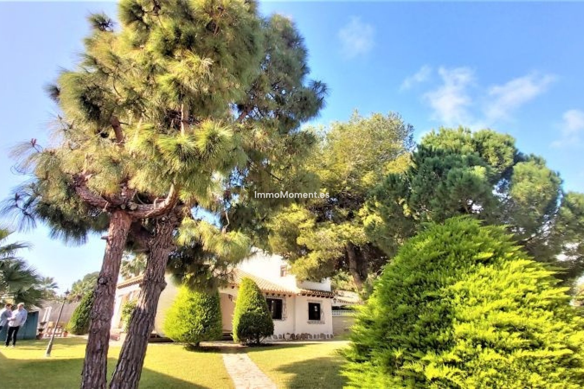 Revente - Villa individuelle - Torrevieja - Torrevieja Centro