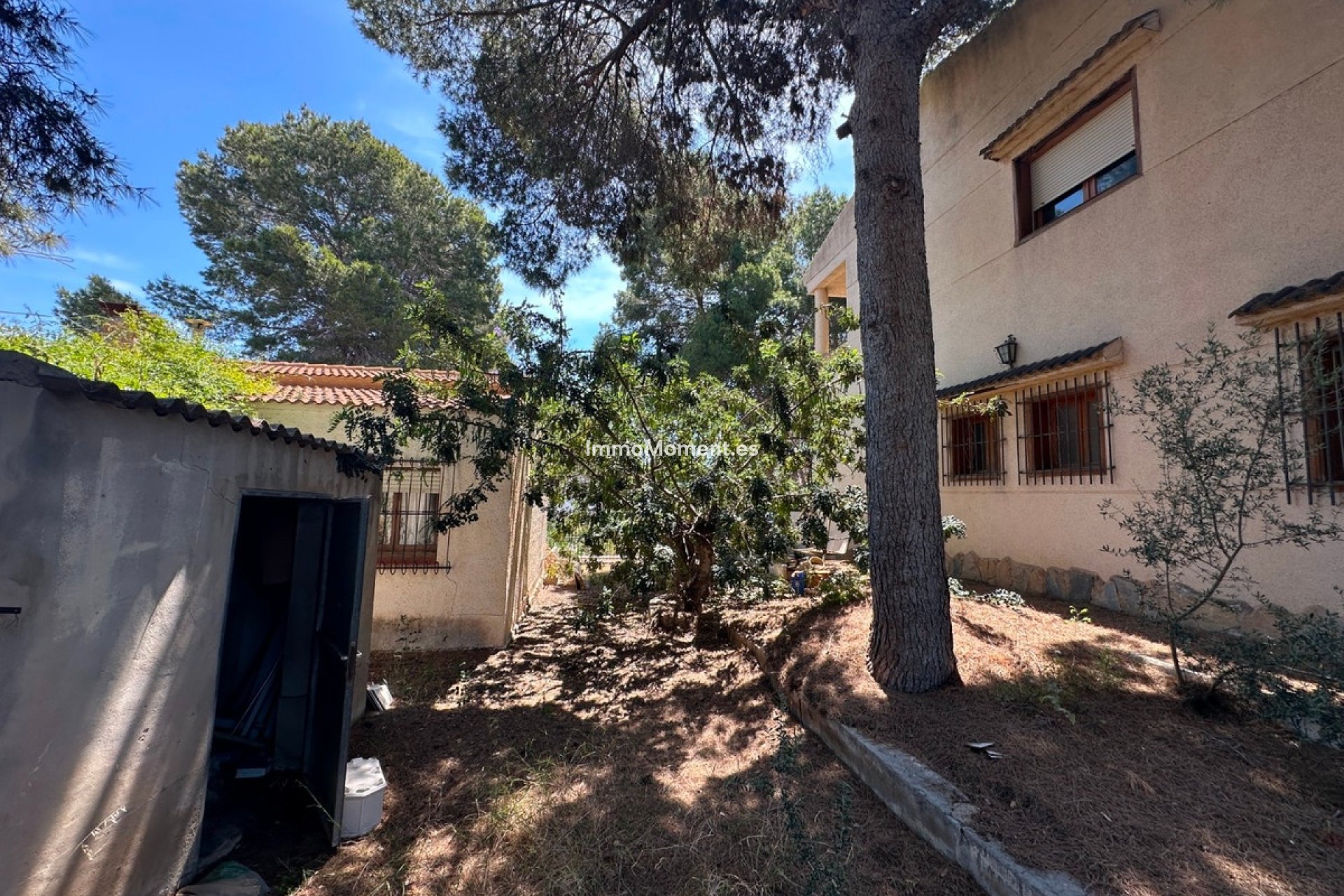 Revente - Villa individuelle - Torrevieja - Torrevieja Centro
