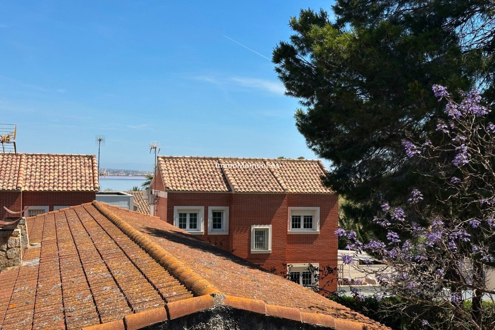 Revente - Villa individuelle - Torrevieja - Torrevieja Centro