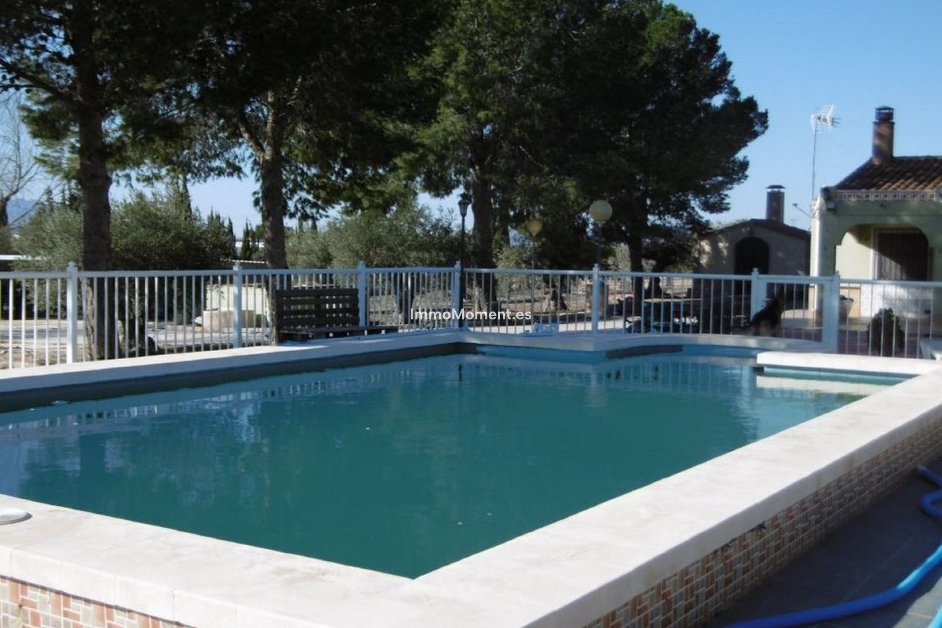 Revente - Villa individuelle - Yecla - Yecla Centro