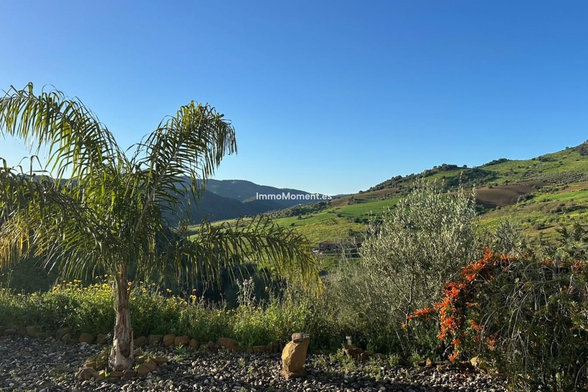 Revente - Villa - Intérieur                       - Alora