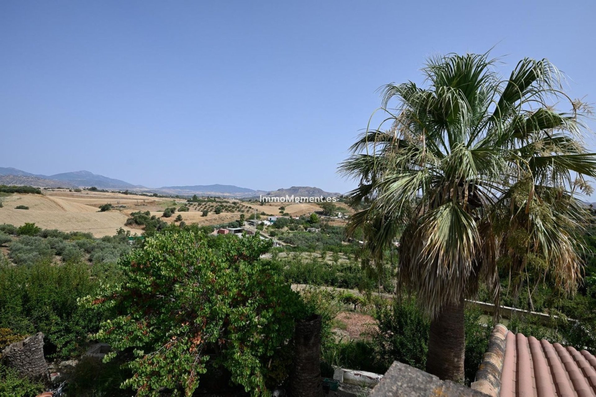 Revente - Villa - Intérieur                       - Cártama Centro