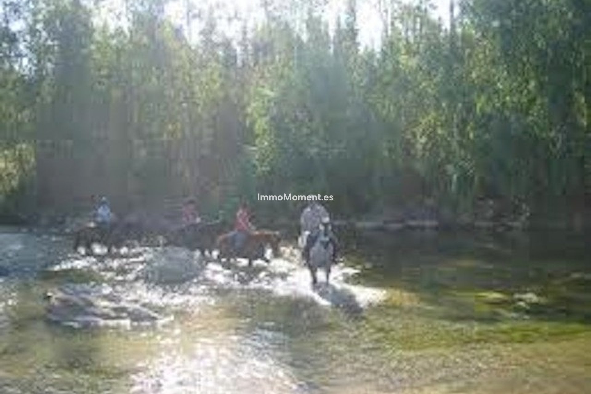 Revente - Villa - Intérieur                       - Coín