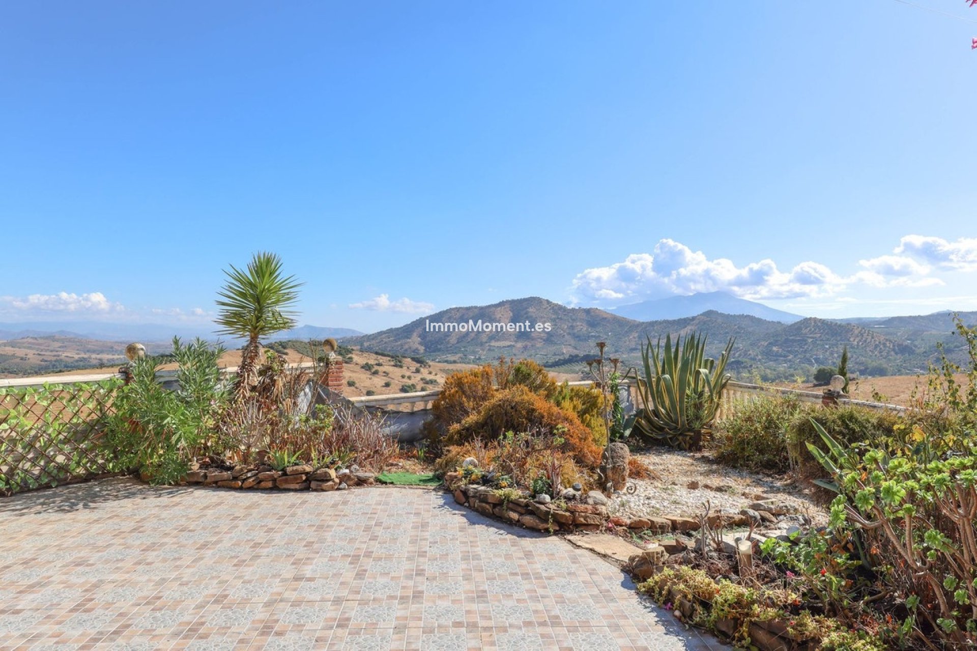 Revente - Villa - Intérieur                       - Guaro