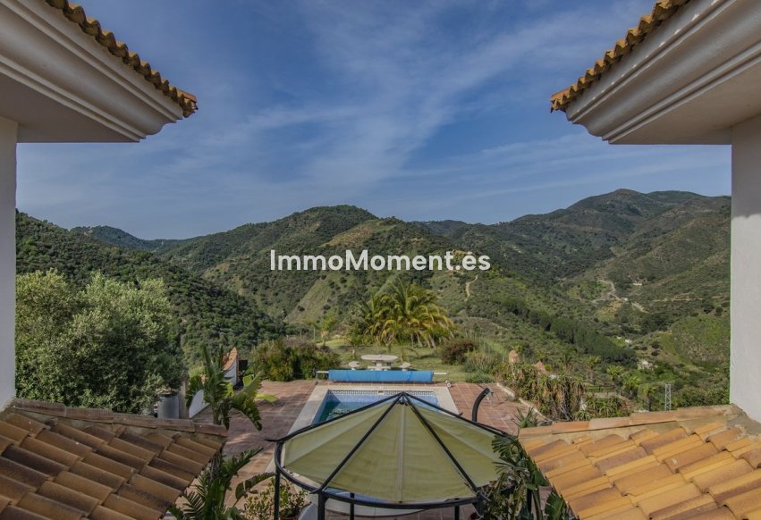 Revente - Villa - Intérieur                       - Monda