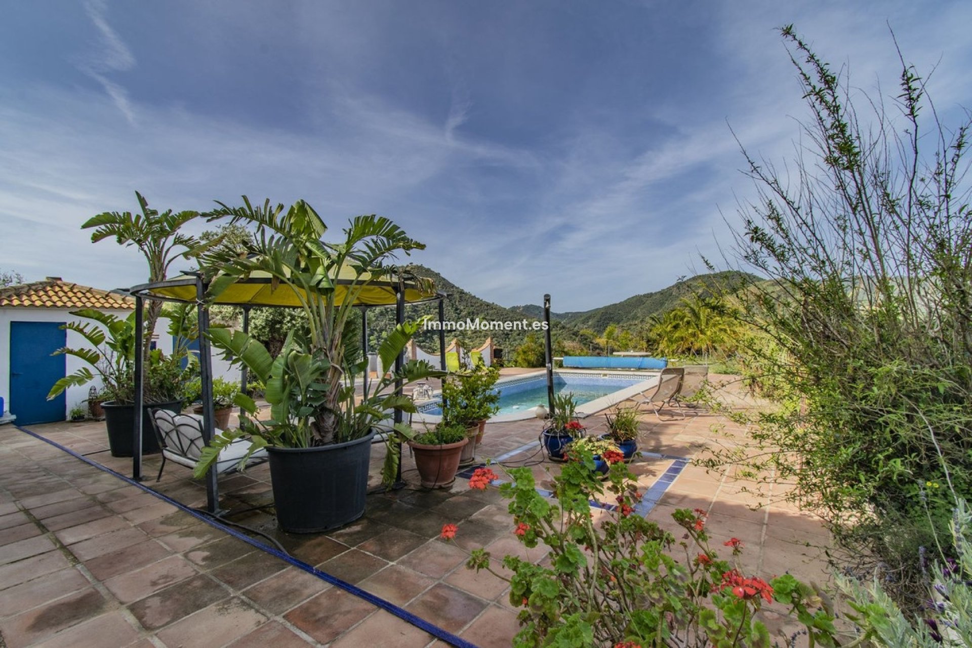 Revente - Villa - Intérieur                       - Monda