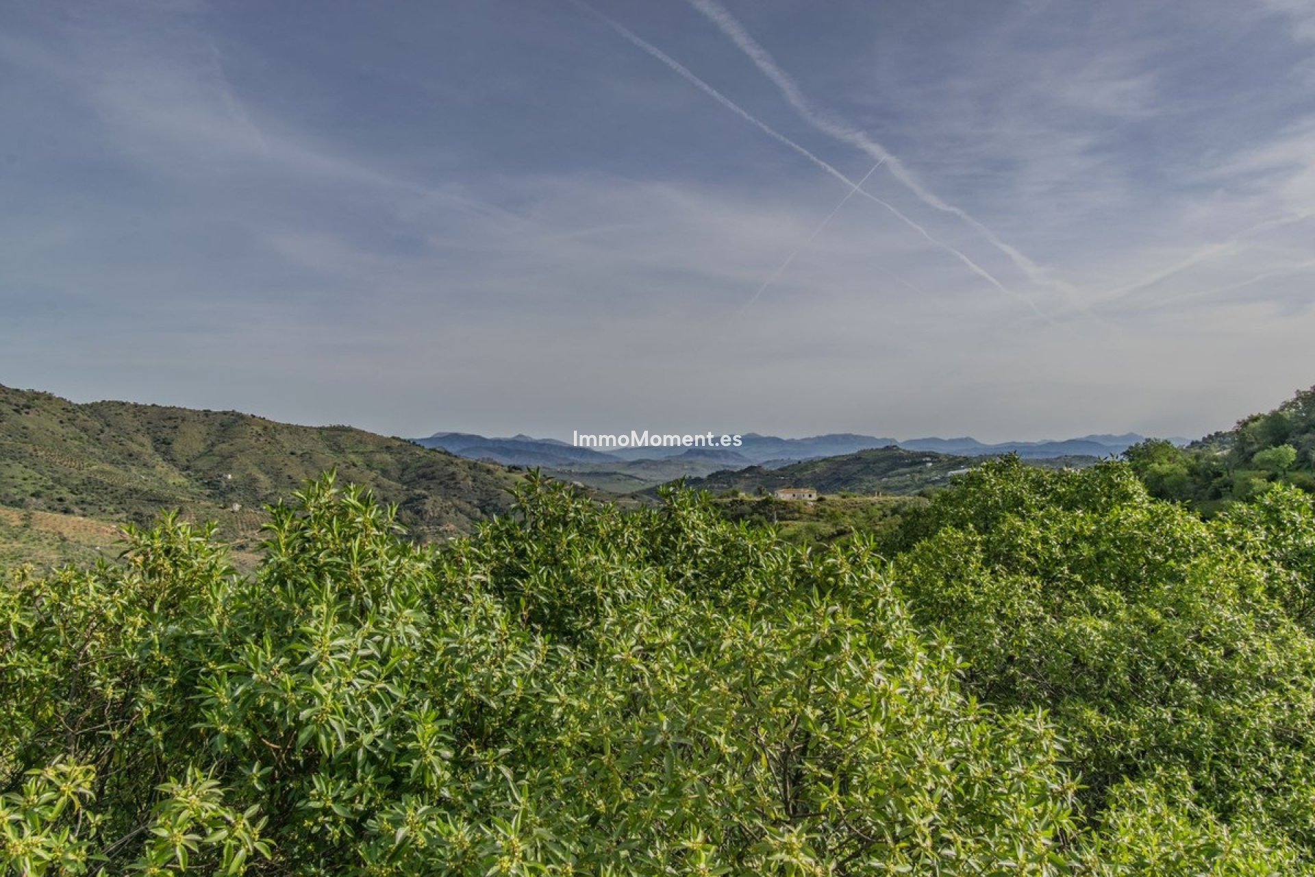 Revente - Villa - Intérieur                       - Monda